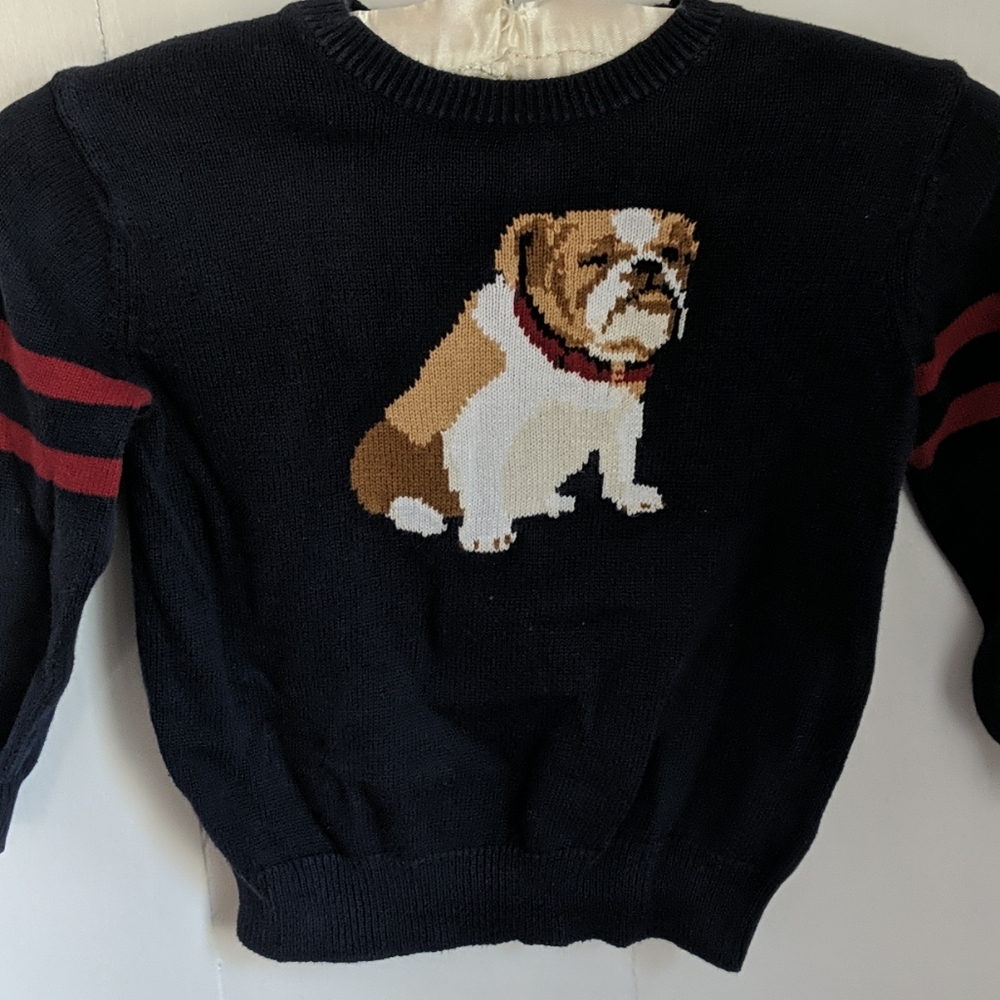 Boys blue dog sweater